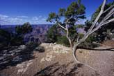 fine_art_photography_images_grand_canyon_sf_3.5