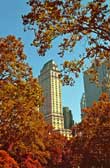 fine_art_photography_images_nyc_file_79_autumn